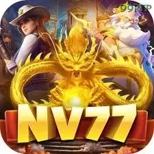 nv77 99rtp